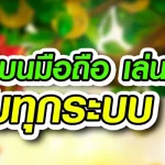 mwin9